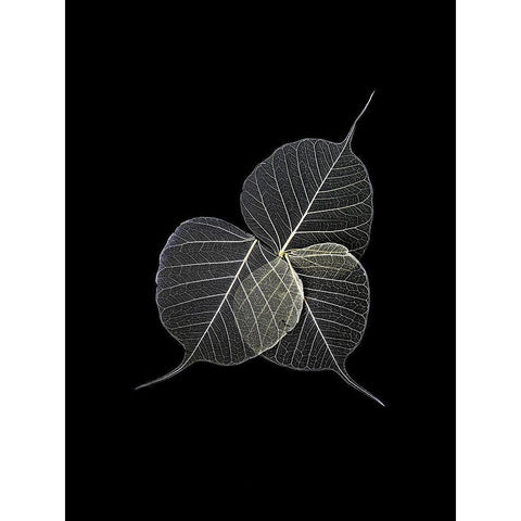 Dark Leaves White Modern Wood Framed Art Print by Incado