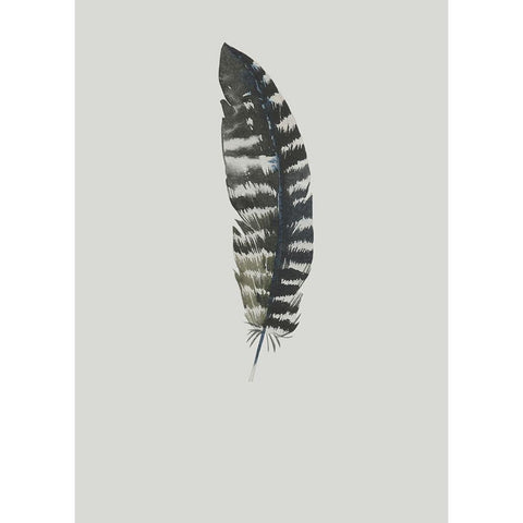 Feather 05 Black Modern Wood Framed Art Print with Double Matting by Incado