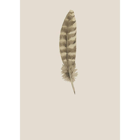 Feather 07 Gold Ornate Wood Framed Art Print with Double Matting by Incado