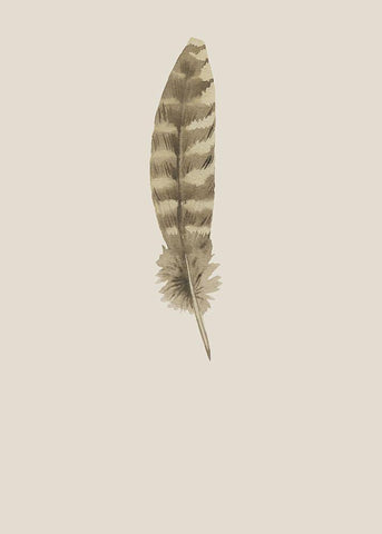 Feather 07 White Modern Wood Framed Art Print with Double Matting by Incado