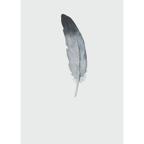 Feather 09 Black Modern Wood Framed Art Print with Double Matting by Incado