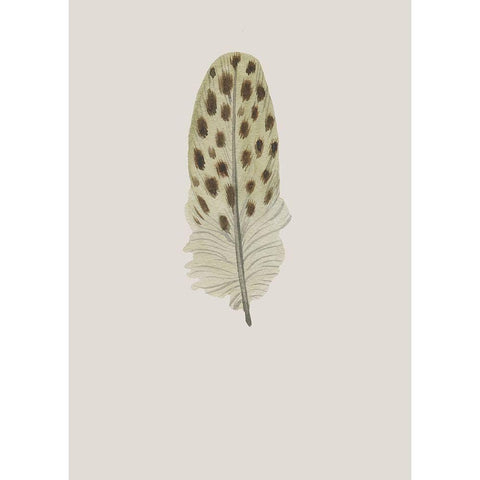 Feather 10 White Modern Wood Framed Art Print by Incado