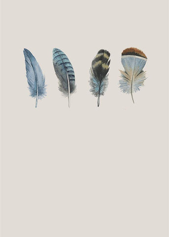 Feather 11 White Modern Wood Framed Art Print with Double Matting by Incado