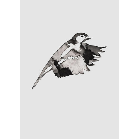 Flying Bird II Black Modern Wood Framed Art Print with Double Matting by Incado