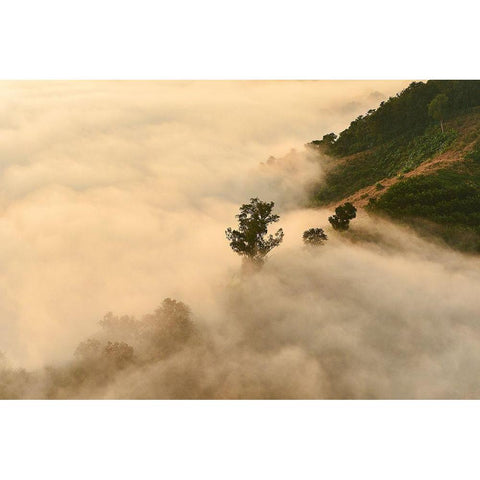 Clouds White Modern Wood Framed Art Print by PhotoINC Studio