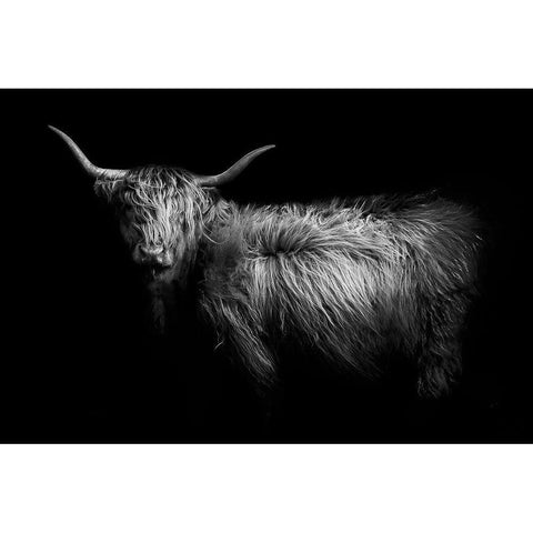 Hello Black Modern Wood Framed Art Print with Double Matting by PhotoINC Studio