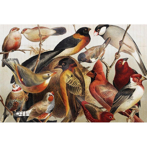 Collection II White Modern Wood Framed Art Print by PhotoINC Studio