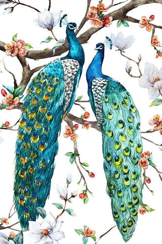 Paradis Birds I White Modern Wood Framed Art Print with Double Matting by Incado