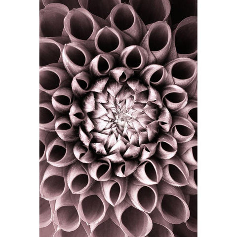 Just open White Modern Wood Framed Art Print by PhotoINC Studio