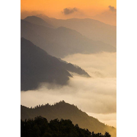 Dusty morning Black Modern Wood Framed Art Print with Double Matting by PhotoINC Studio