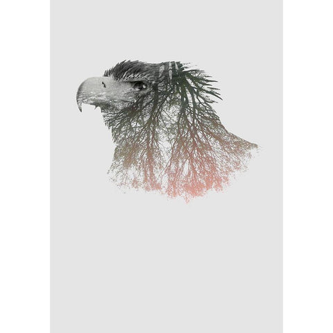Eye of the Forest I Black Modern Wood Framed Art Print by Clean Nature