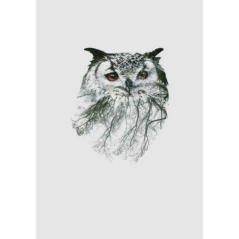 Eye of the Forest II White Modern Wood Framed Art Print by Clean Nature