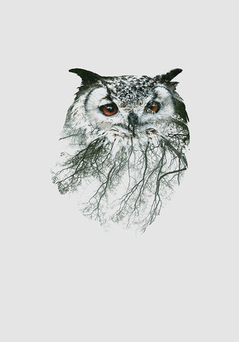 Eye of the Forest II Black Ornate Wood Framed Art Print with Double Matting by Clean Nature