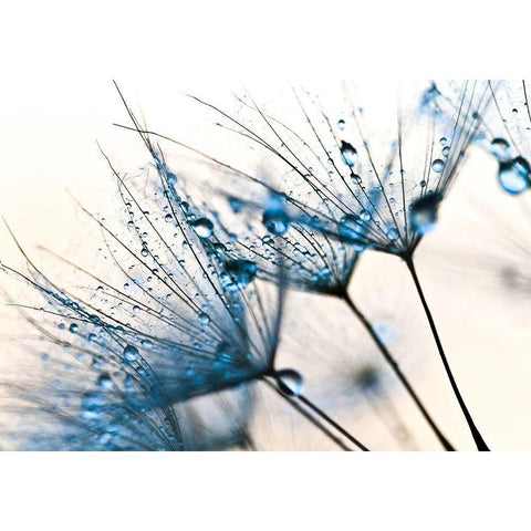 Mystic Blue Black Modern Wood Framed Art Print with Double Matting by PhotoINC Studio