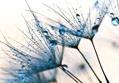 Mystic Blue Black Ornate Wood Framed Art Print with Double Matting by PhotoINC Studio