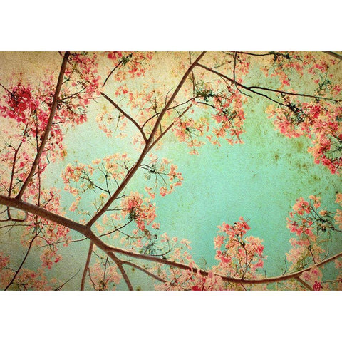 Flamboyant I Black Modern Wood Framed Art Print by PhotoINC Studio