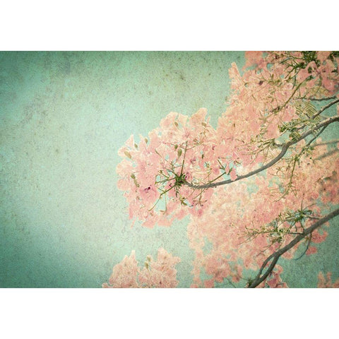 Flamboyant II White Modern Wood Framed Art Print by PhotoINC Studio