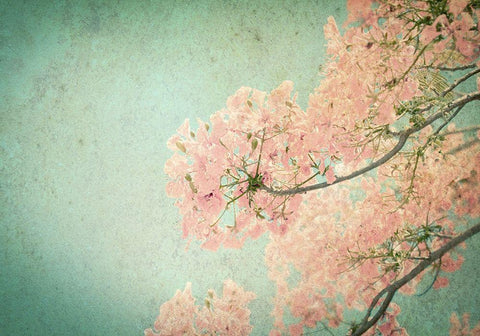 Flamboyant II White Modern Wood Framed Art Print with Double Matting by PhotoINC Studio