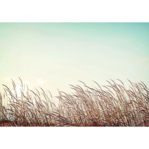 Retro Grass Black Modern Wood Framed Art Print by PhotoINC Studio