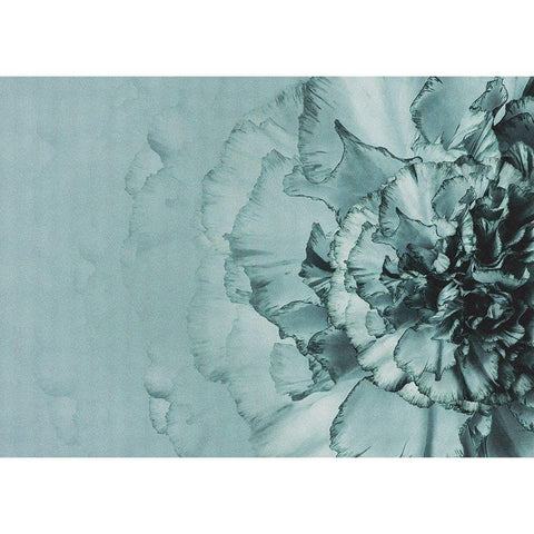 Close up Flower Black Modern Wood Framed Art Print with Double Matting by Incado