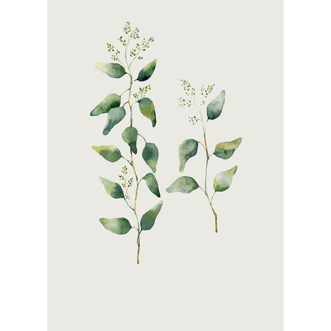 Botanical I White Modern Wood Framed Art Print by Incado