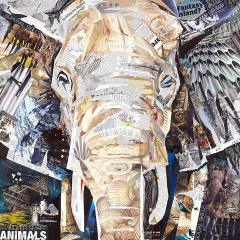 Elephants Gaze Black Modern Wood Framed Art Print with Double Matting by Grey, James