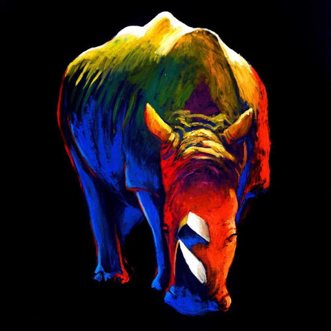 The Rhino White Modern Wood Framed Art Print with Double Matting by Summer, Clara