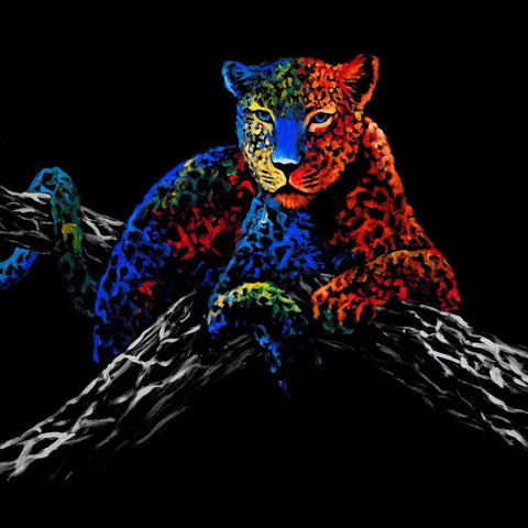 The Cheetah White Modern Wood Framed Art Print with Double Matting by Summer, Clara