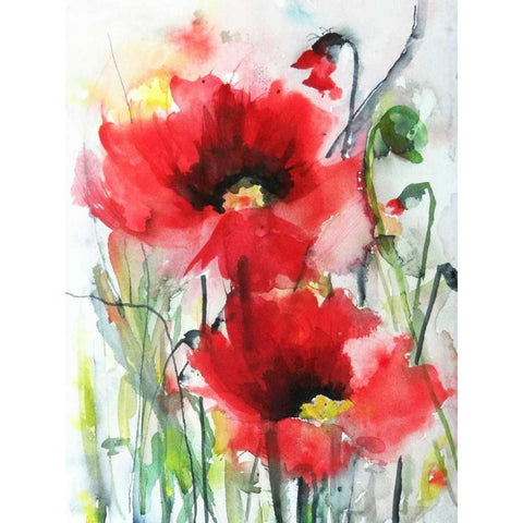 Red Poppies Black Modern Wood Framed Art Print with Double Matting by Johannesson, Karin