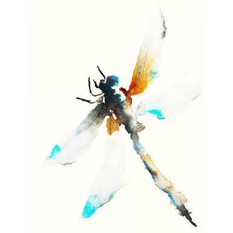 Blue and Brown Dragonfly White Modern Wood Framed Art Print by Johannesson, Karin