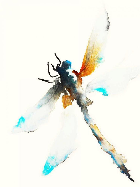 Image Only