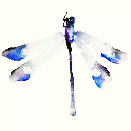 Image Only