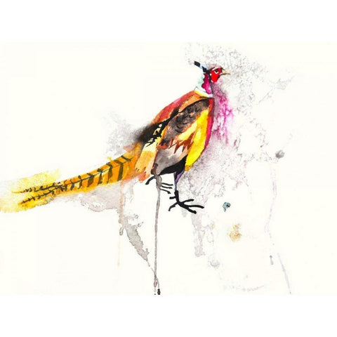 Pheasant White Modern Wood Framed Art Print by Johannesson, Karin