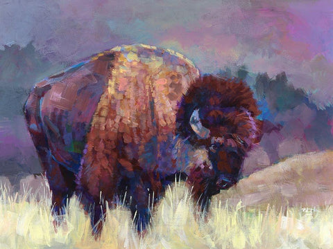 Buffalo Roam White Modern Wood Framed Art Print with Double Matting by Jackson, Robert