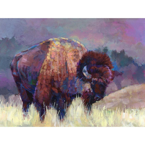 Buffalo Roam Black Modern Wood Framed Art Print with Double Matting by Jackson, Robert