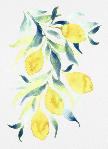 Watercolor Lemons Black Ornate Wood Framed Art Print with Double Matting by Juncos, Cami