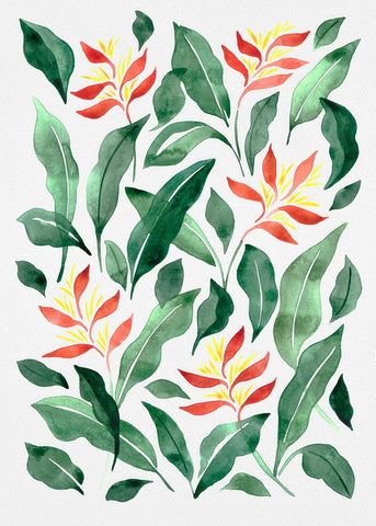 Parakeet Flower Black Ornate Wood Framed Art Print with Double Matting by Juncos, Cami