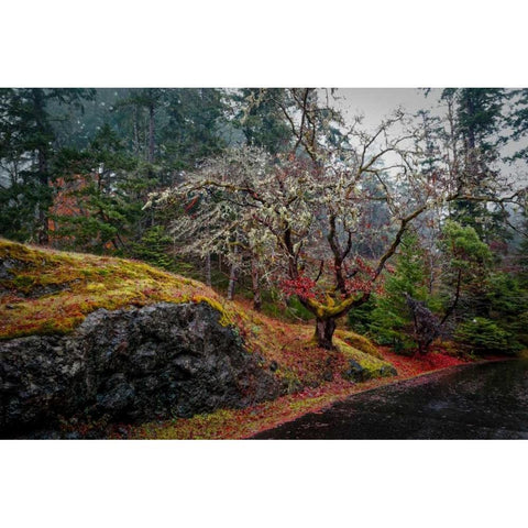 On the Road Black Modern Wood Framed Art Print by Kostka, Vladimir