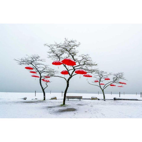 Red Umbrellas Black Modern Wood Framed Art Print by Kostka, Vladimir