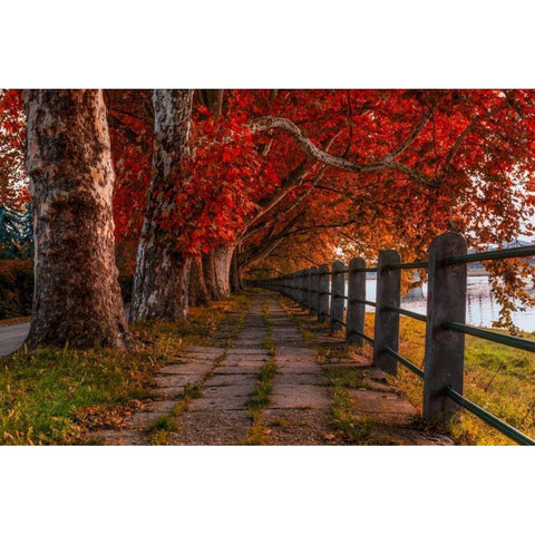 Walk by the River Gold Ornate Wood Framed Art Print with Double Matting by Kostka, Vladimir