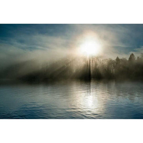 Rising above the Water Black Modern Wood Framed Art Print with Double Matting by Kostka, Vladimir