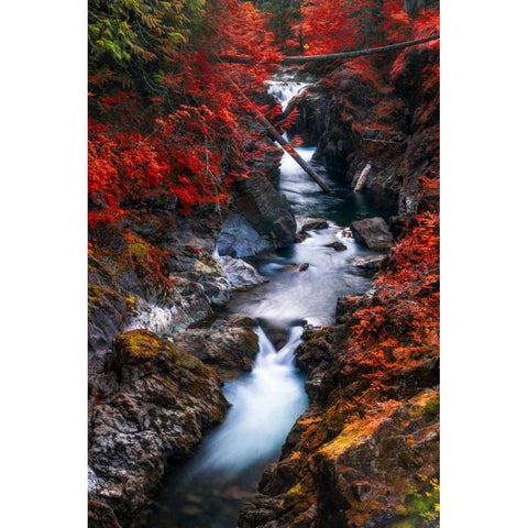 Water in the Fall White Modern Wood Framed Art Print by Kostka, Vladimir