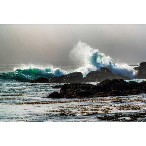 The Wave, Long Beach Black Modern Wood Framed Art Print by Kostka, Vladimir