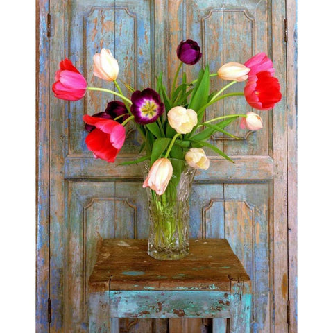 Tulips, Mexico Gold Ornate Wood Framed Art Print with Double Matting by Klug, Alan