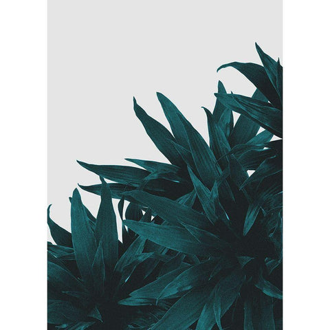 End Up Here Black Modern Wood Framed Art Print with Double Matting by Kastl-Lungberg, Hanna