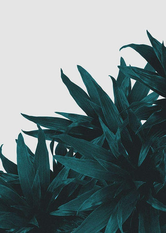 End Up Here White Modern Wood Framed Art Print with Double Matting by Kastl-Lungberg, Hanna