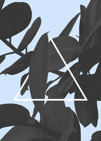 Get On Top Black Ornate Wood Framed Art Print with Double Matting by Kastl-Lungberg, Hanna