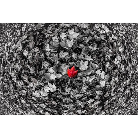 Alone White Modern Wood Framed Art Print by Kostka, Vladimir