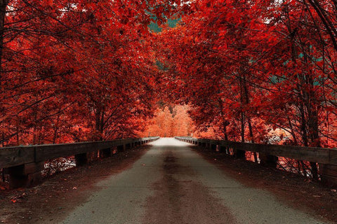 Bridge (Red) White Modern Wood Framed Art Print with Double Matting by Kostka, Vladimir