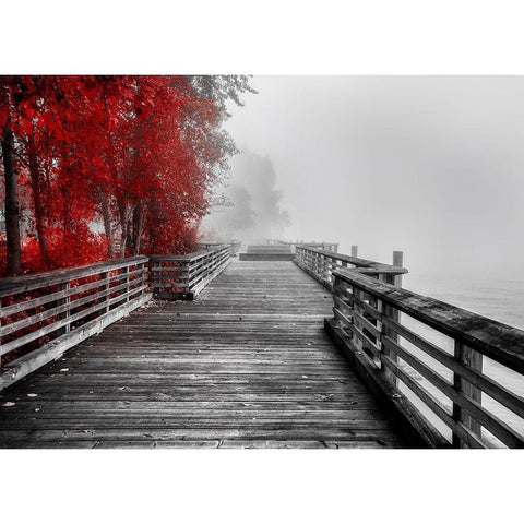 Fall Walkway Black Modern Wood Framed Art Print with Double Matting by Kostka, Vladimir